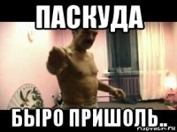 паскуда быро пришоль..