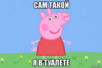 сам такой я в туалете