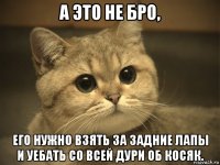 а это не бро, его нужно взять за задние лапы и уебать со всей дури об косяк.