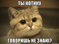 ты котику говоришь не знаю?