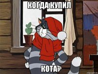 когда купил кота