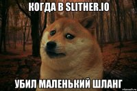 когда в slither.io убил маленький шланг