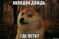 холодно,дождь. где лето?