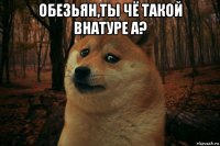 обезьян,ты чё такой внатуре а? 