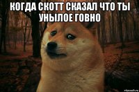 когда скотт сказал что ты унылое говно 