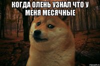 когда олень узнал что у меня месячные 