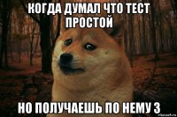 когда думал что тест простой но получаешь по нему 3