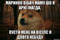 маринко вібач маму шо я арю інагда, пусти мене на вісілє я довго небуду