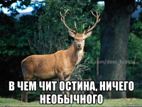  в чем чит остина, ничего необычного
