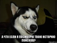 а что если я посмотрю твою историю поисков?