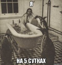 я на 5 сутках