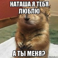 наташа я тебя люблю а ты меня?