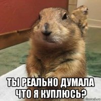  ты реально думала что я куплюсь?