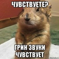 чувствуете? грин звуки чувствует