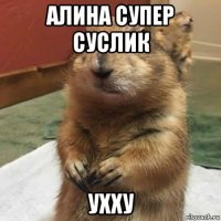 алина супер суслик ухху