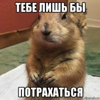 тебе лишь бы потрахаться