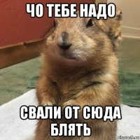 чо тебе надо свали от сюда блять