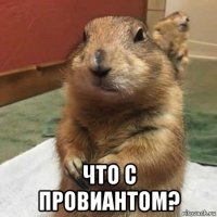  что с провиантом?