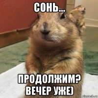 сонь... продолжим? вечер уже)