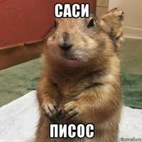 саси писос