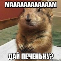 маааааааааааам дай печеньку?