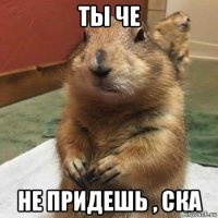 ты че не придешь , ска