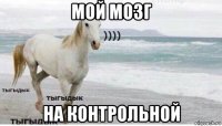 мой мозг на контрольной