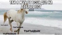 так я мчу от всех дел на доброфест 