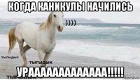 когда каникулы начились урааааааааааааа!!!!!