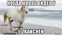 когда новое видео у lizkanchek