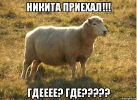 никита приехал!!! гдееее? где?????