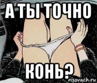 а ты точно конь?