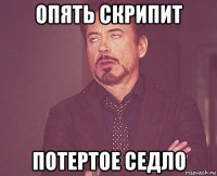 опять скрипит потертое седло