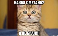 какая сметана? я не брал!!!