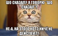 шо сказал? я говорю "шо сказал"! не-а, на этого котэ ничё не действует!