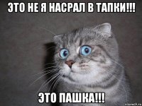 это не я насрал в тапки!!! это пашка!!!