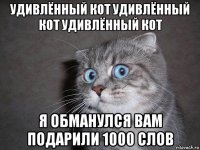 удивлённый кот удивлённый кот удивлённый кот я обманулся вам подарили 1000 слов