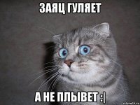 заяц гуляет а не плывет :|