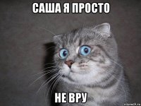 саша я просто не вру