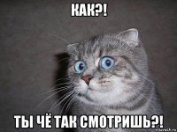 как?! ты чё так смотришь?!