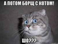 а потом борщ с котом! шо???