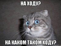 на ходу? на каком таком ходу?