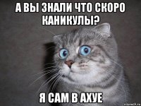 а вы знали что скоро каникулы? я сам в ахуе