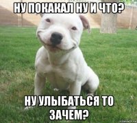 ну покакал ну и что? ну улыбаться то зачем?