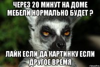 через 20 минут на доме мебели нормально будет ? лайк если да картинку если другое время