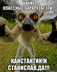 какие классные!карапузы,эти... канстантин!и станислав,да!!!