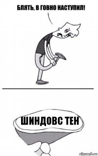 ШИНДОВС ТЕН