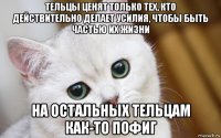 тельцы ценят только тех, кто действительно делает усилия, чтобы быть частью их жизни на остальных тельцам как-то пофиг