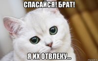 спасайся! брат! я их отвлеку...