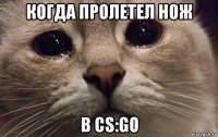 когда пролетел нож в cs:go